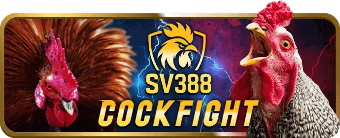 Chia sẻ thông tin an toàn tại k9club link vào
